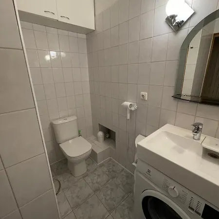 Oak Apartment Vilnius